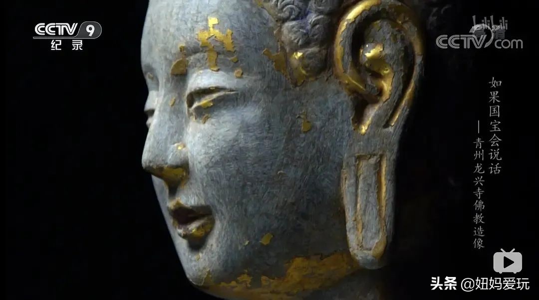 带你真切看人间的宝藏纪录片top10,十一长假适合带孩子看的纪录片