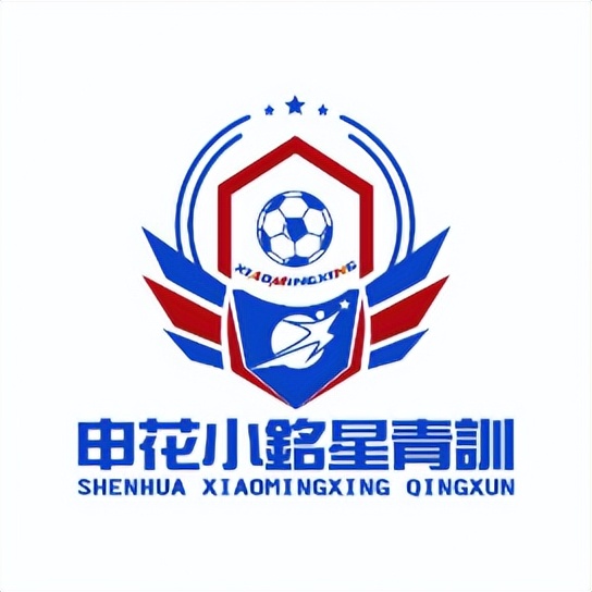 神秘嘉宾空降现场完整版,神秘嘉宾空降舞台