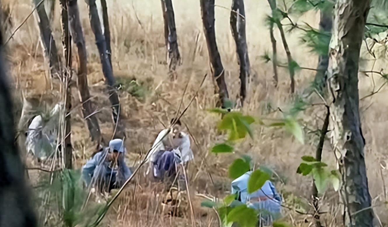 牛角胸罩，诱惑式舔刀尖，这些颠覆三观的镜头，看完让人一言难尽