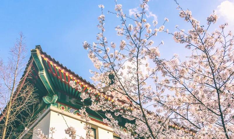 南京几大景点分别在哪里,南京三大旅游景点介绍视频