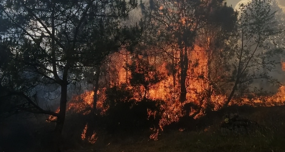空气污染的不同来源，以及对各个领域的影响，清洁能源迫在眉睫
