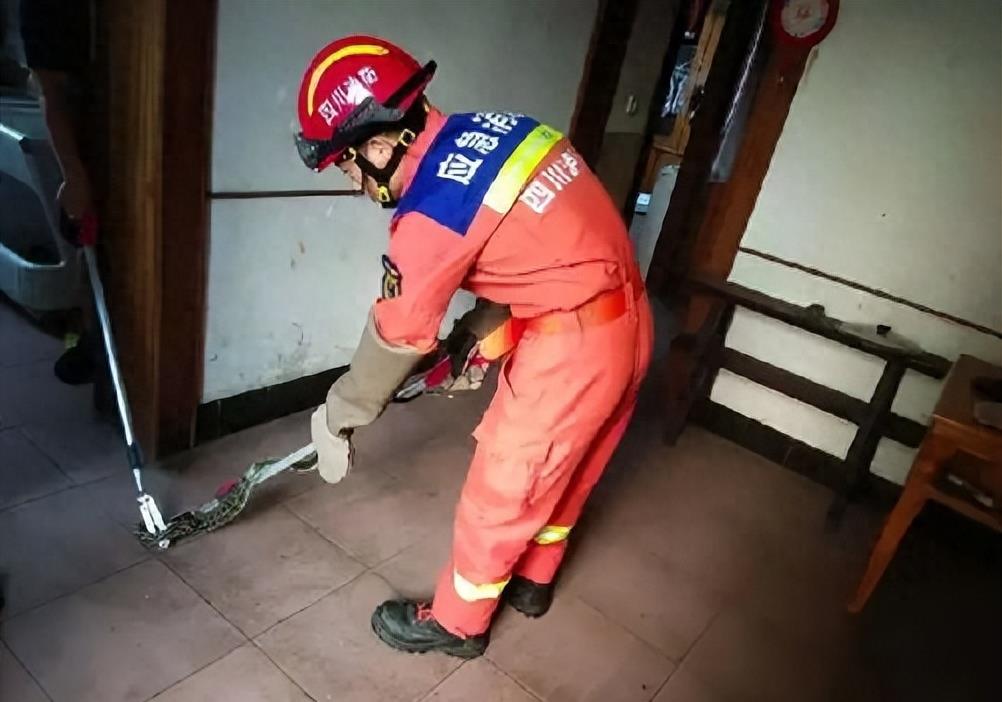 “蛇灭门”到底有多神奇？揭秘老人口中的杀蛇神器！