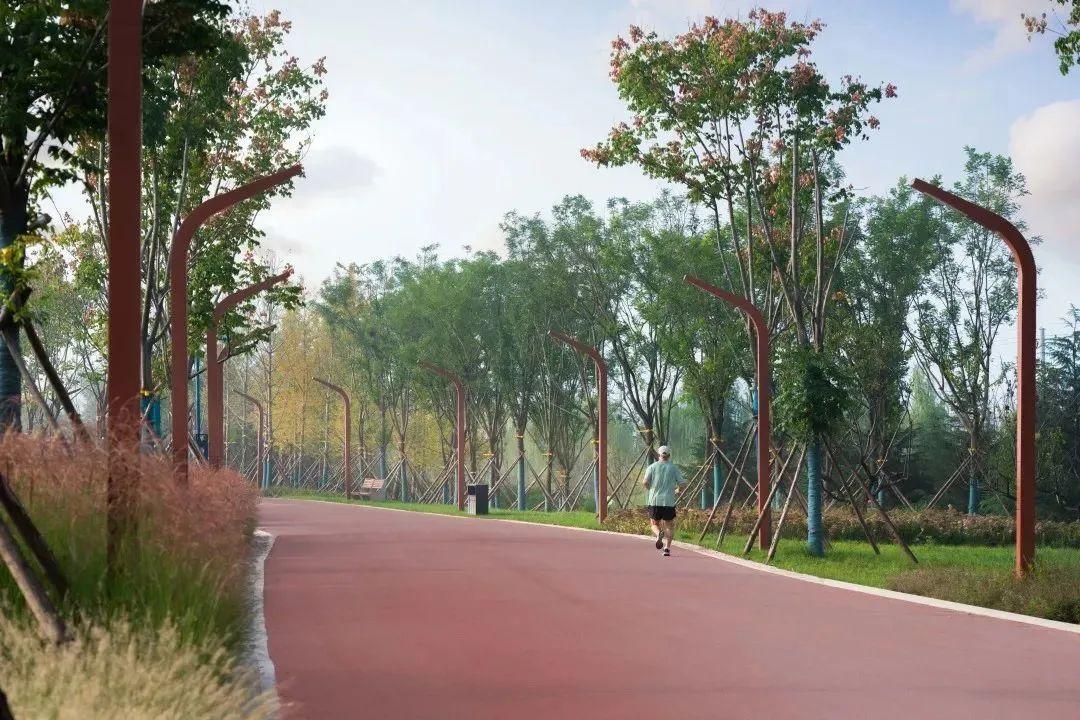 骑行打卡景点,湿地骑行观风景