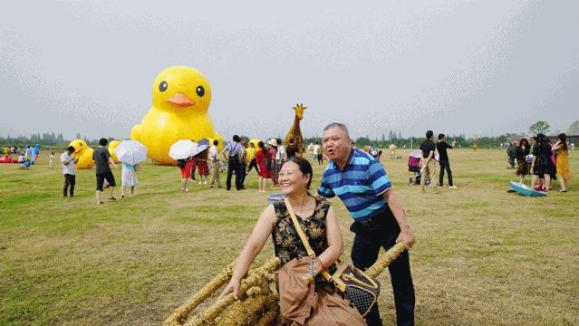 做个农庄靠什么赚钱,为什么农庄越来越难做