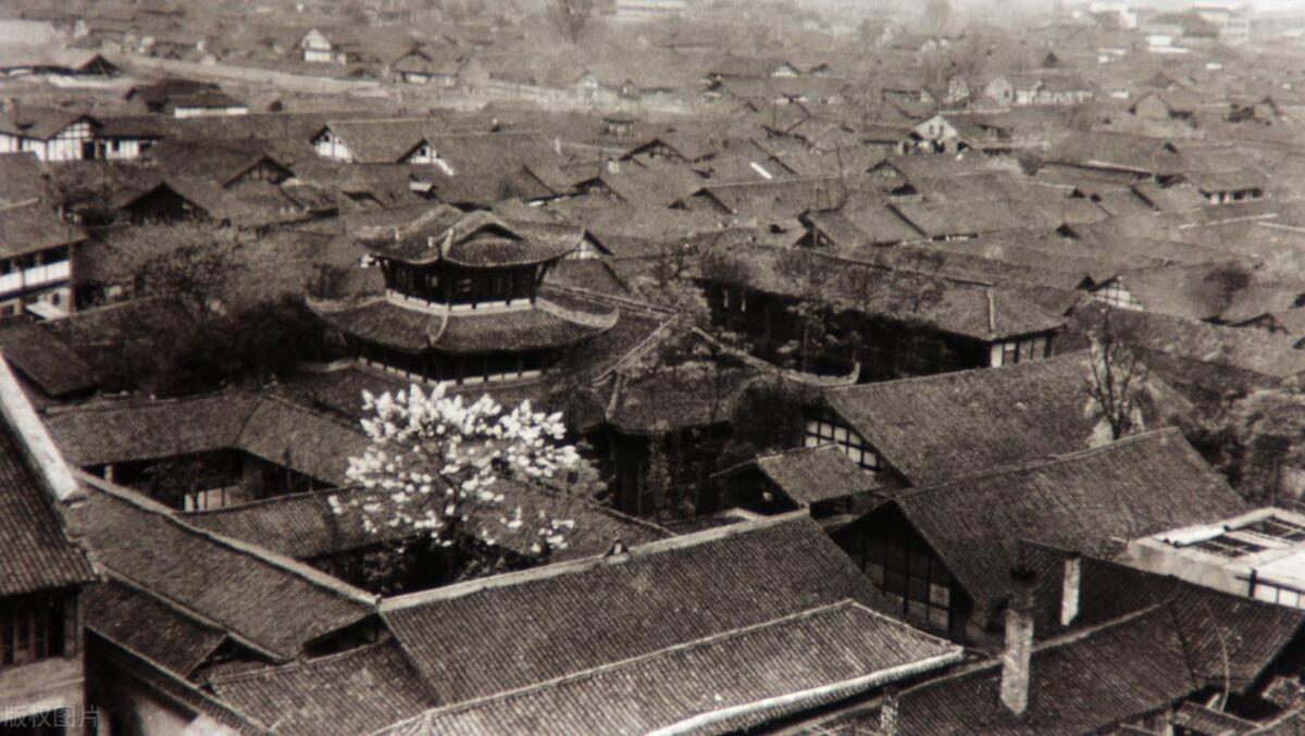 在头条读1本书赚500多,我总结了5个实操技巧,套用模板真的香!