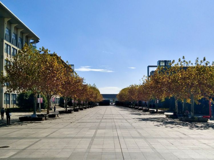 春天美好的心愿和祝福,一整个春天许下的心愿