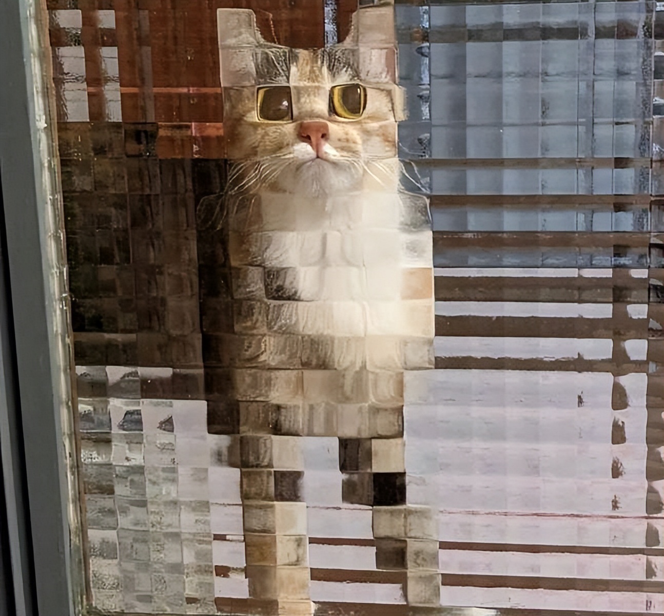 78个真实有趣的照片：山顶的足球场，老树与佛像，老司机脸部皮肤