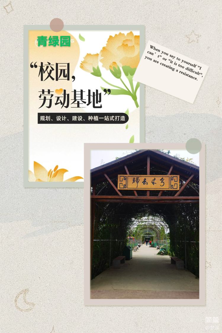 九中社会实践活动记录,四年级寒假劳动实践活动记录