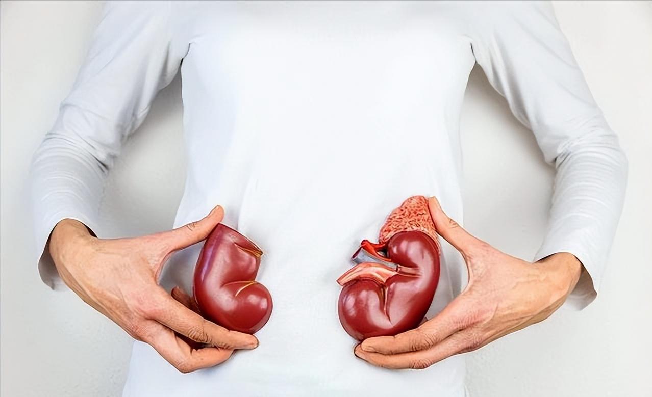 人体哪个部位被击倒后最痛,人体哪些部位被击打后疼痛难忍