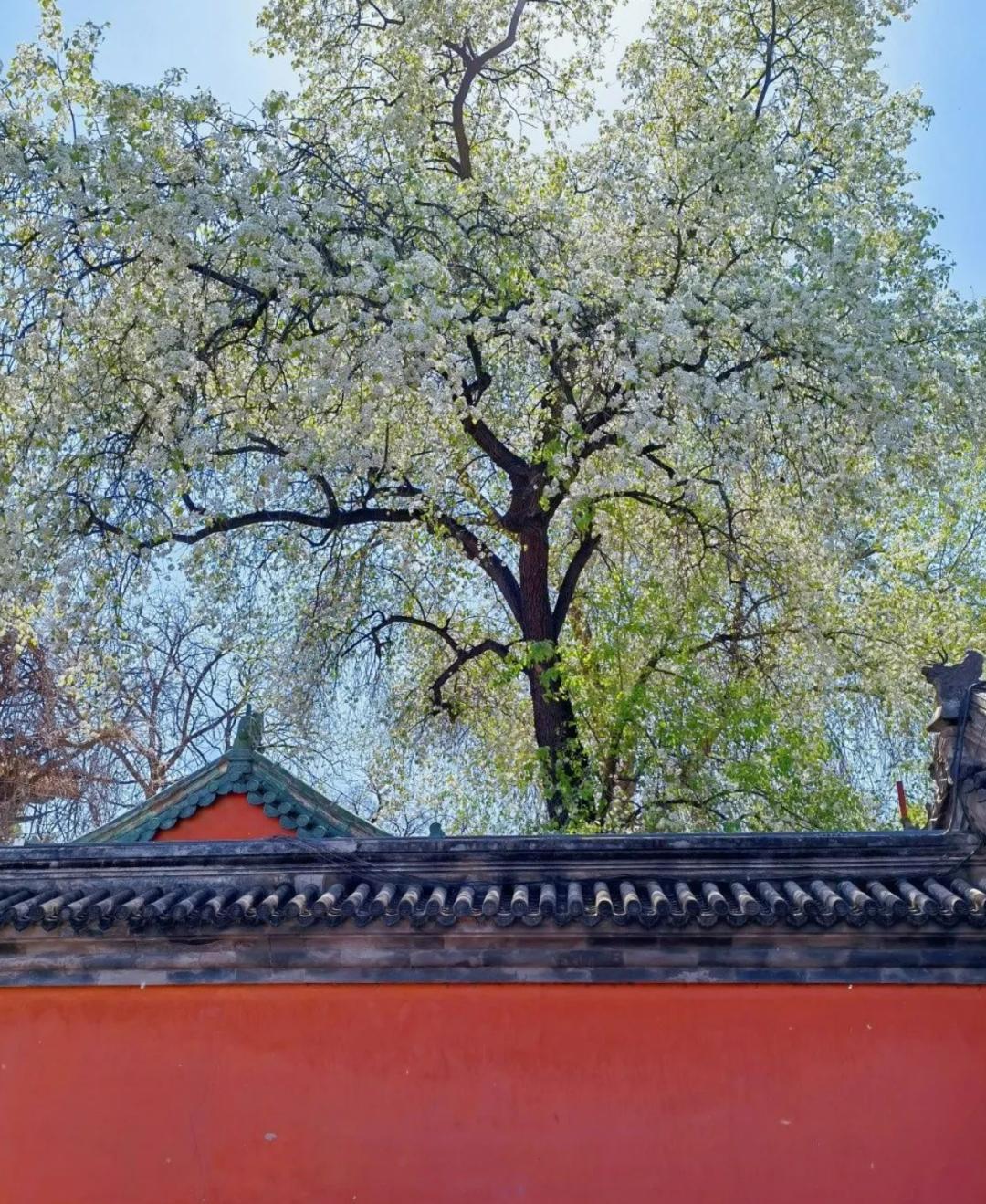 玩转北京攻略,去北京玩儿哪儿最省钱