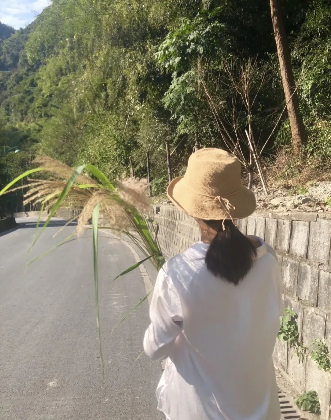 大妈老年大学逃课,58岁老阿姨逃课