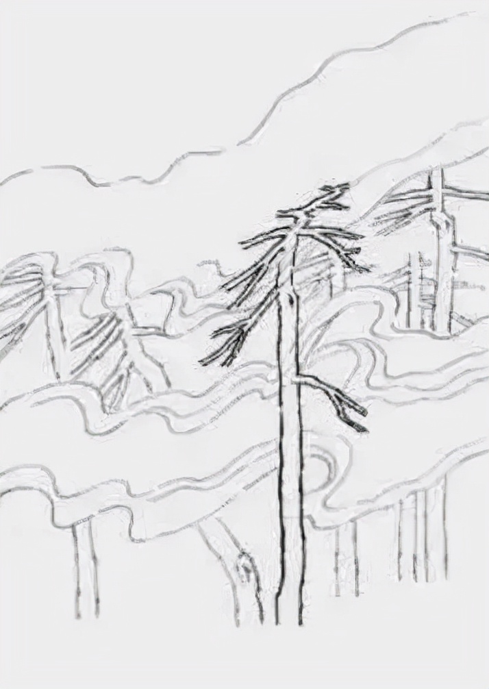 松树复杂画法,松树的十种画法