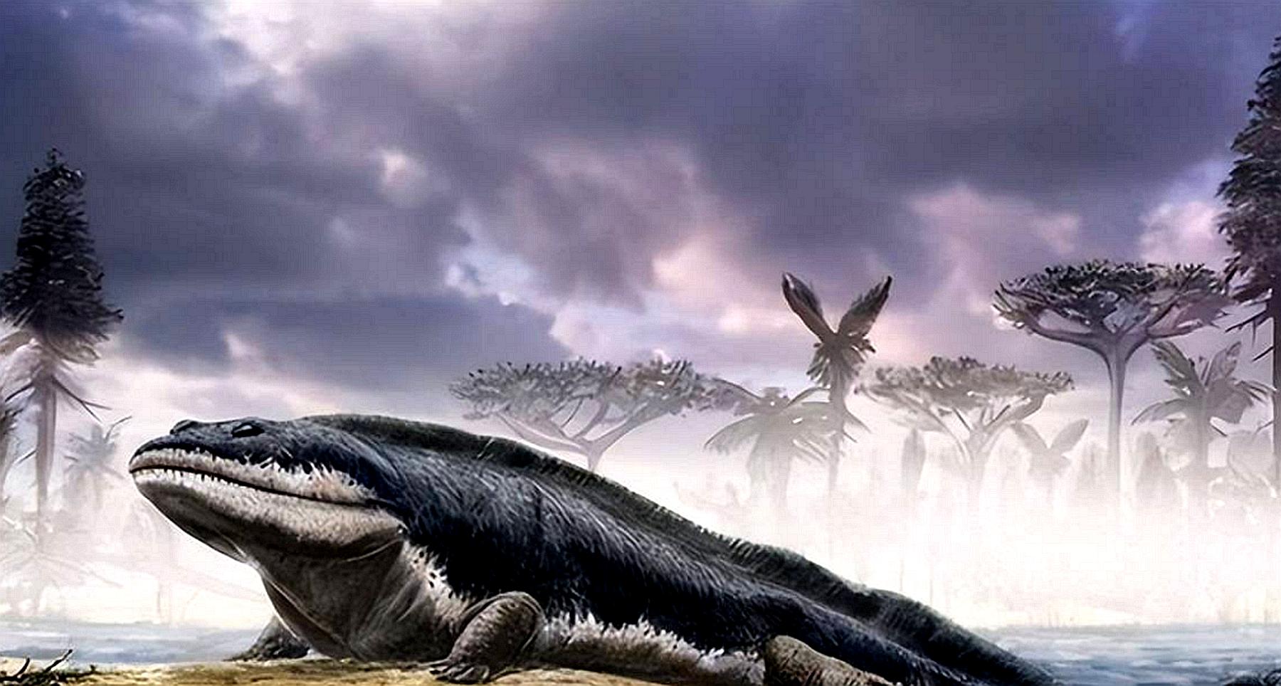 黄种人、黑种人和白种人为啥能自由交配?人类没有生殖隔离吗?