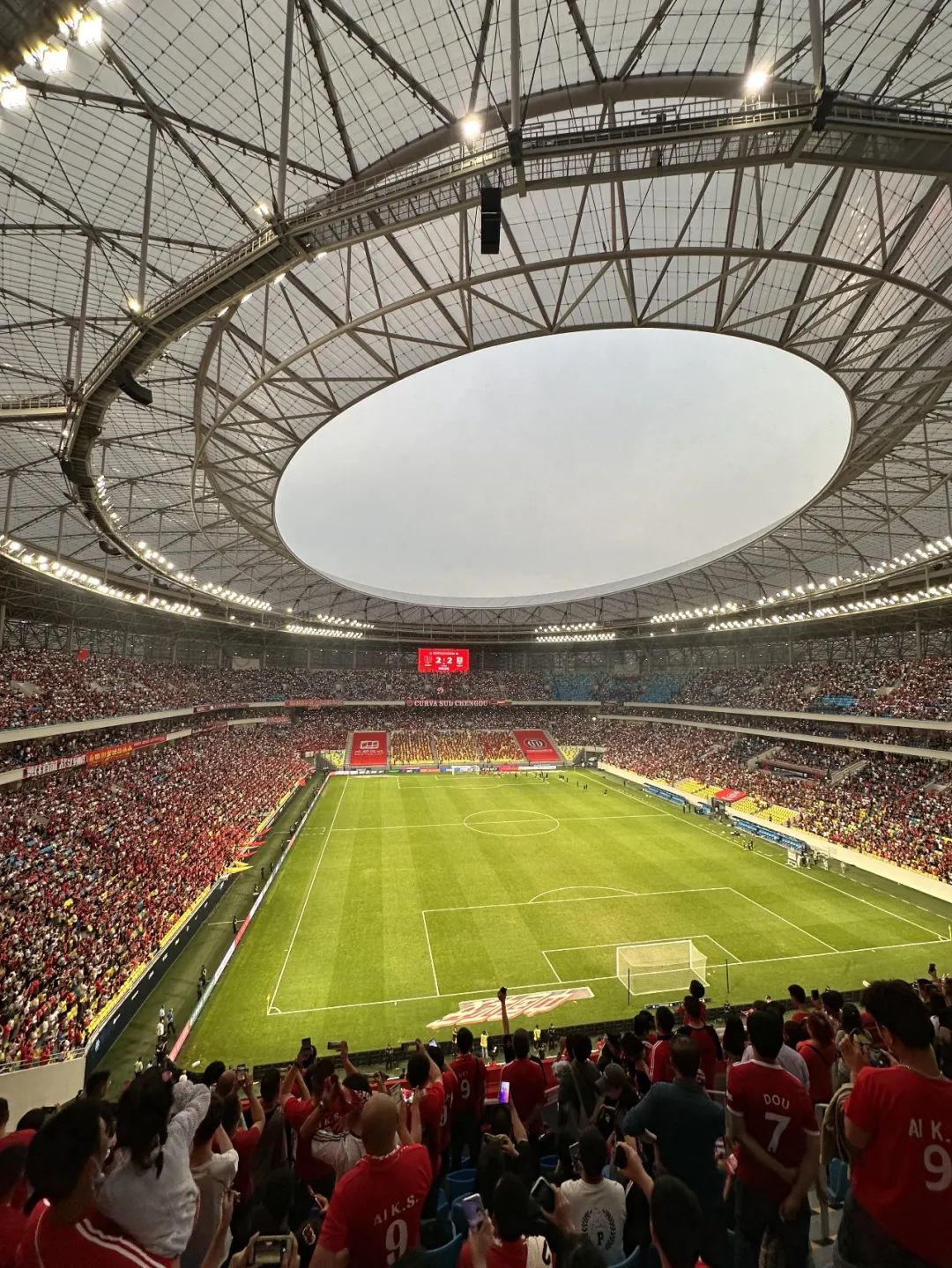 30年过去，死去的成体记忆在凤凰山复活了吗