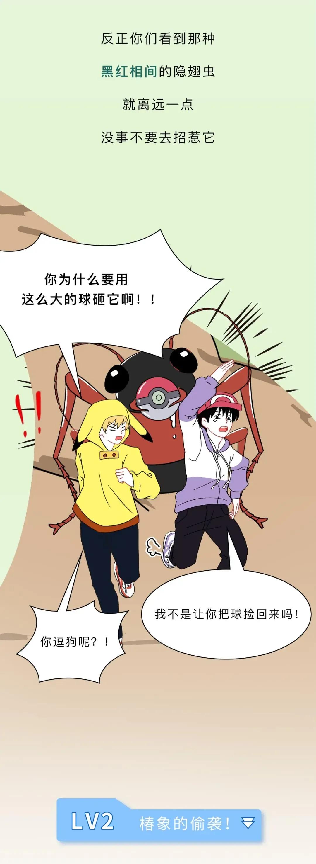 最近看到这些虫子，不要随便拍，建议提前了解（漫画讲解）