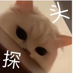 送了杯子还送什么给你,送了杯子给我该回啥礼