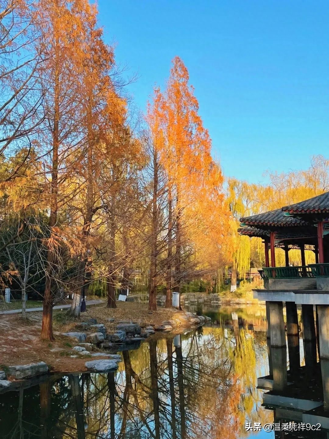 100年前的元首,60年代的领导干部