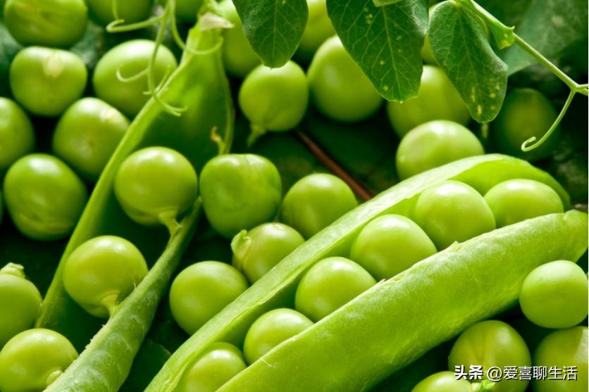 补叶酸多吃这几种水果,春吃春菜保健康五种美味不能少