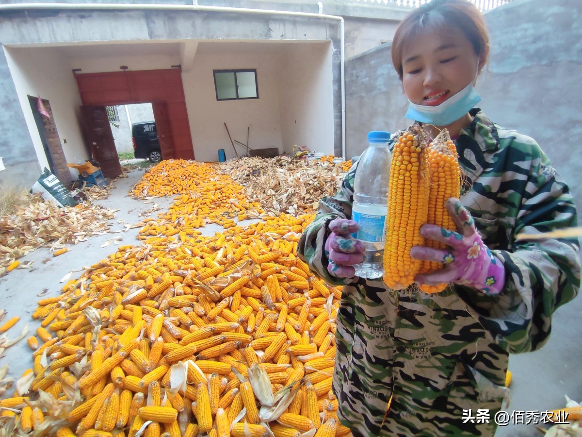 农资批发商价格太高怎么办,2020年农资价格下降原因