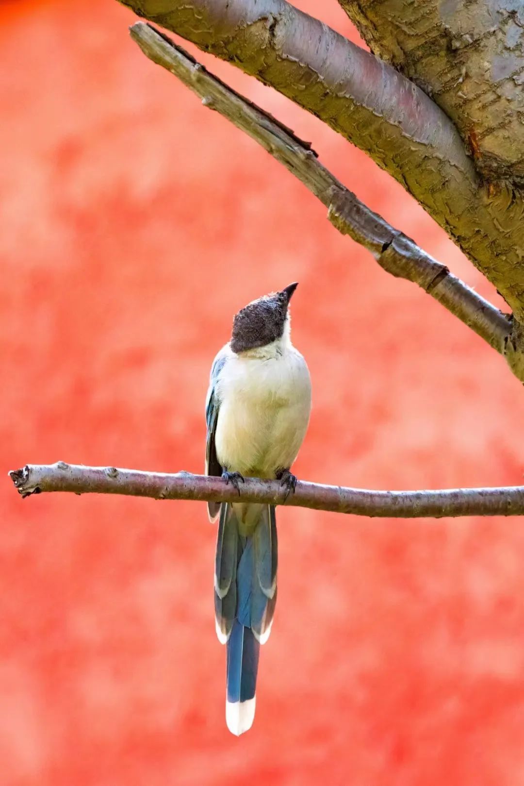 长春必去十大网红地,来长春打卡每日更新哪家火爆