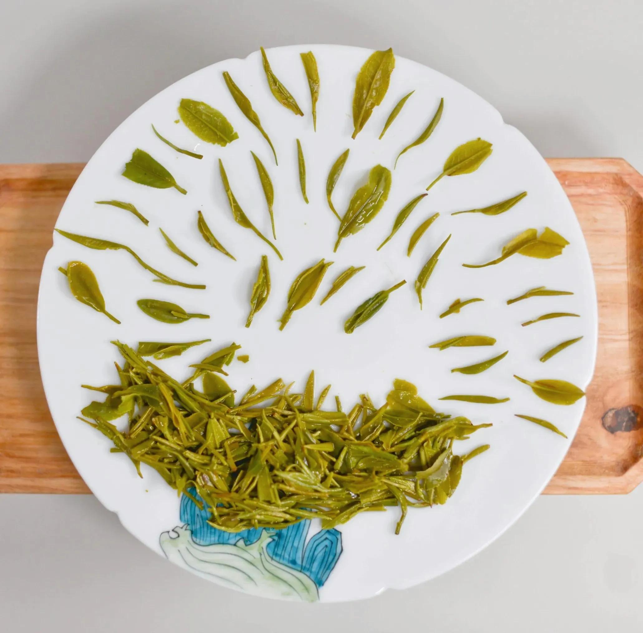 茶叶比赛信阳毛尖,信阳毛尖茶王争霸比赛