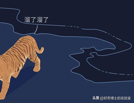 吃补阳气的中药后身体有哪些变化,吃了药身体会发生什么变化