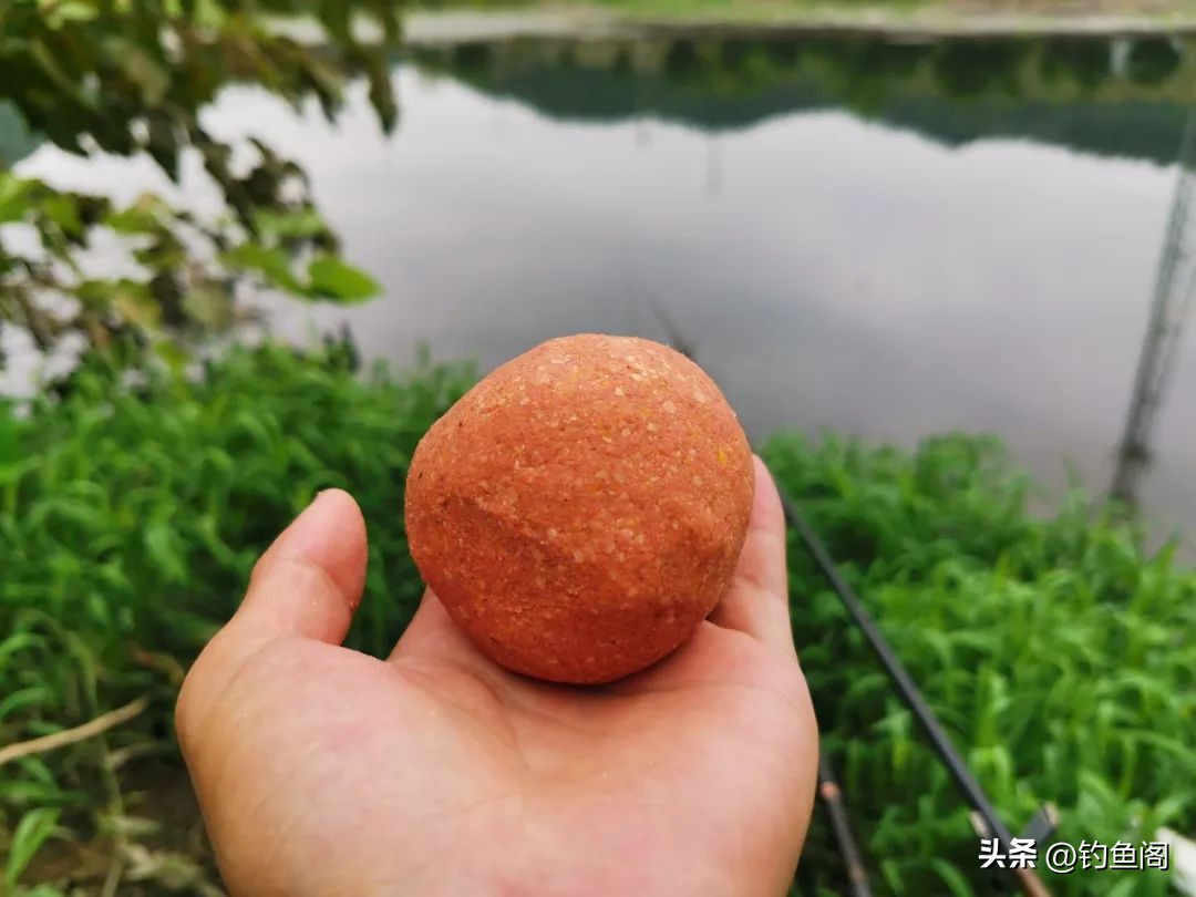 秋季野钓用腥味好还是香味好,四川秋季用腥饵还是香饵