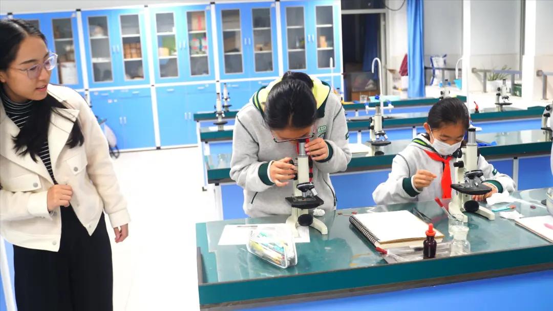 南京师范大学附属中学该怎样学习,南京师范大学附属实验学校小升初