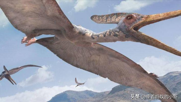 恐龙的分类以及特征,科普恐龙的种类和特点