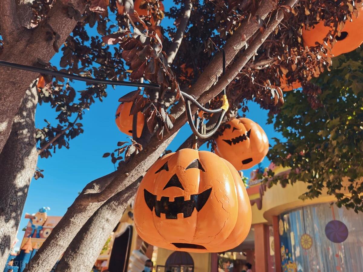 朝阳区文旅局,北京朝阳区文旅局电话