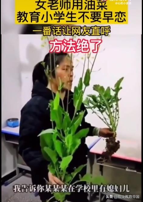 用油菜阻止早恋,老师用油菜花讲早恋