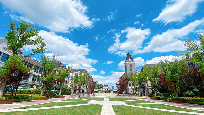 合肥国际班如何选择,合肥国际学校课程