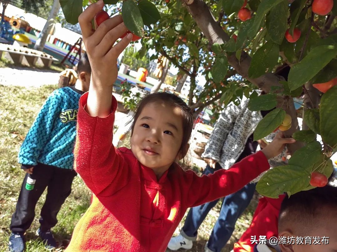 新闻周播报完整版,周播报抖音