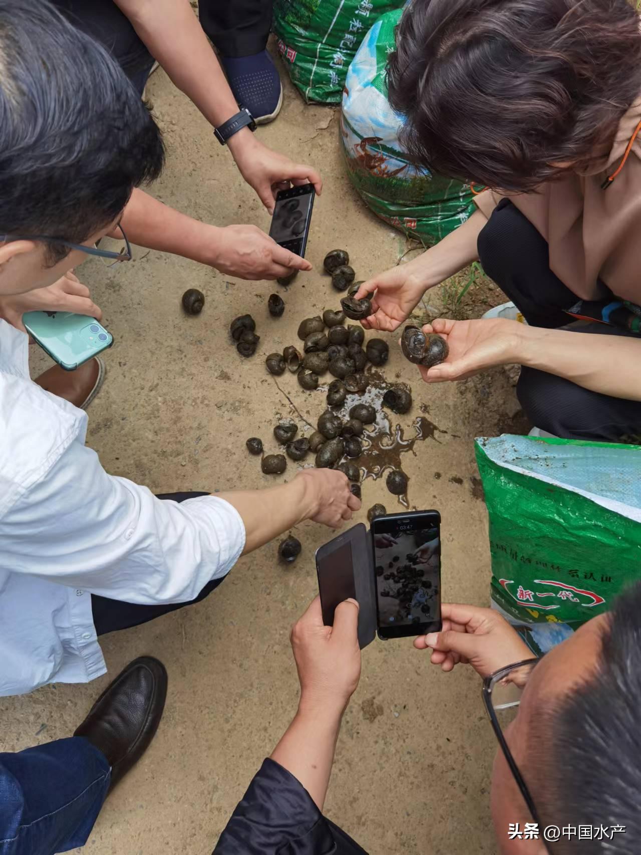 水生外来物种入侵防控工作方案,水生动物防疫