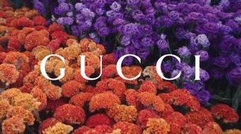 gucci扑克多少钱,gucci扑克