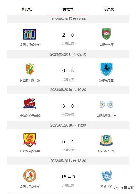 中国足球发展基金会杯总决赛,2034杯合肥城市足球俱乐部赛区