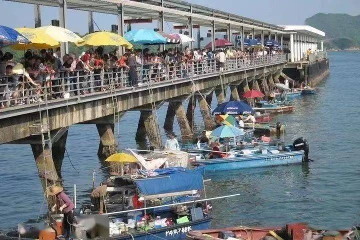 捐款5.7亿的越南华人女首富，为何突然被捕？为何会惊动李嘉诚？