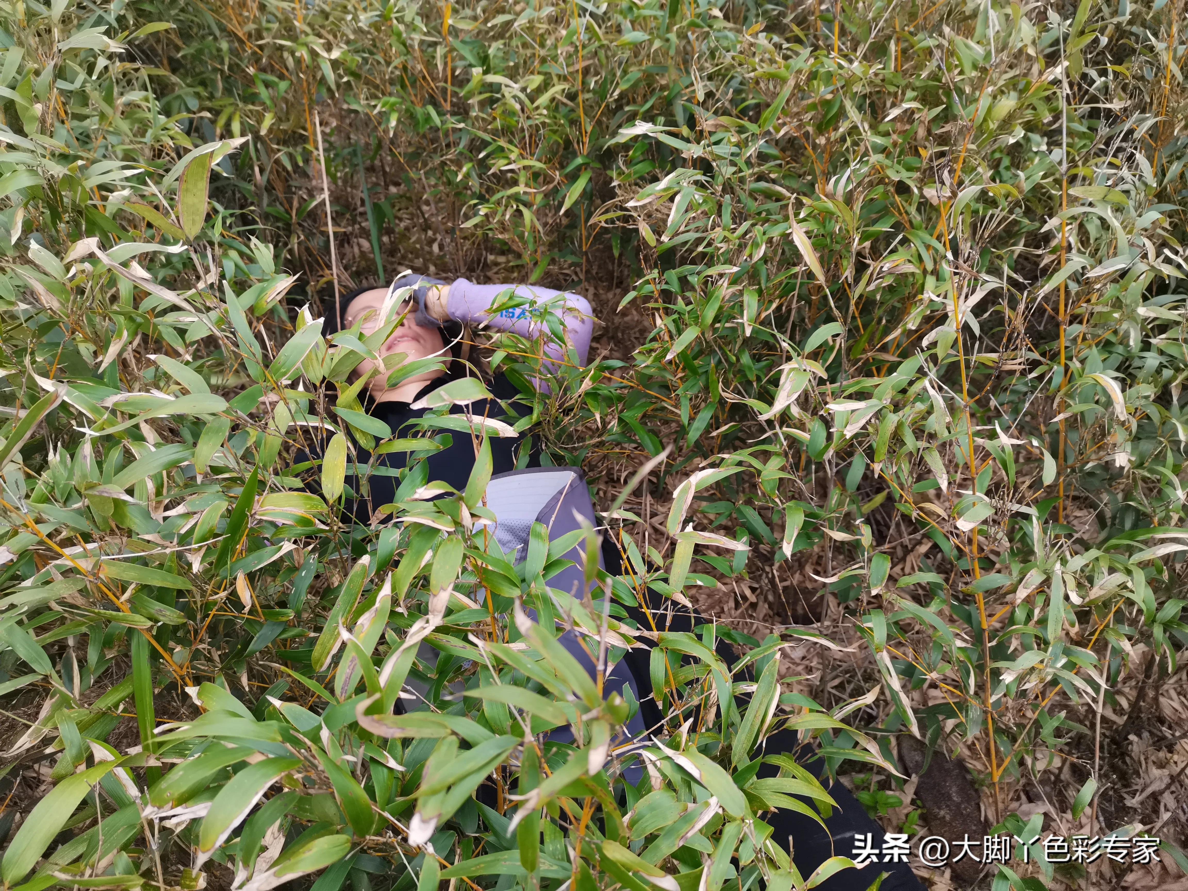 三刷最后结局是什么,三刷广州