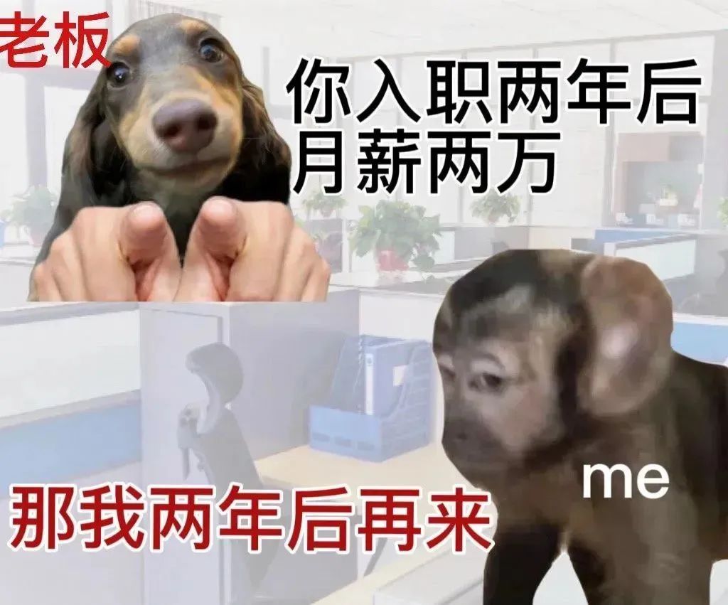 媒体盒子软件,媒体盒子软件有哪些好用