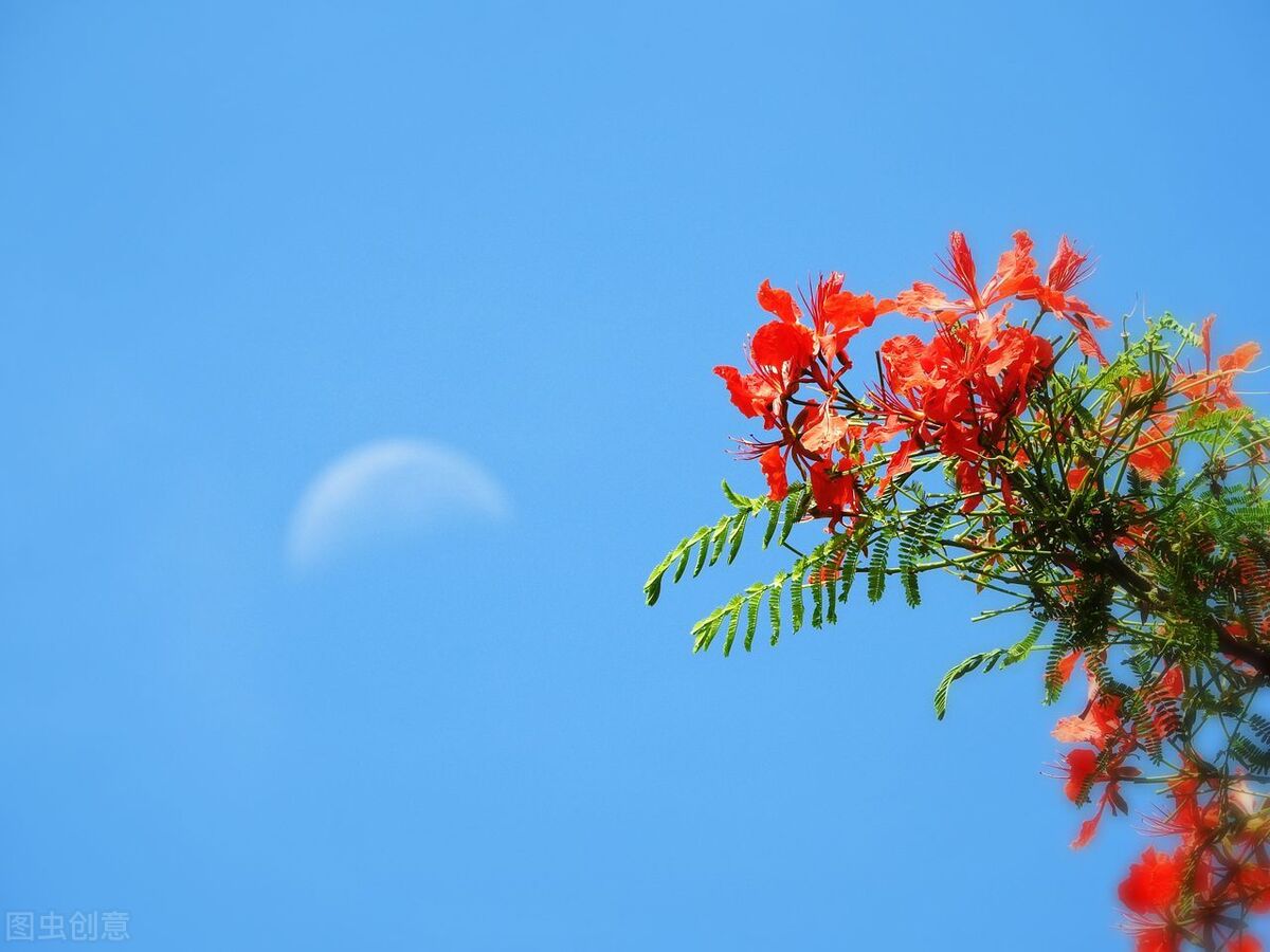 改变气质女人的6个好习惯,培养气质的100个好习惯