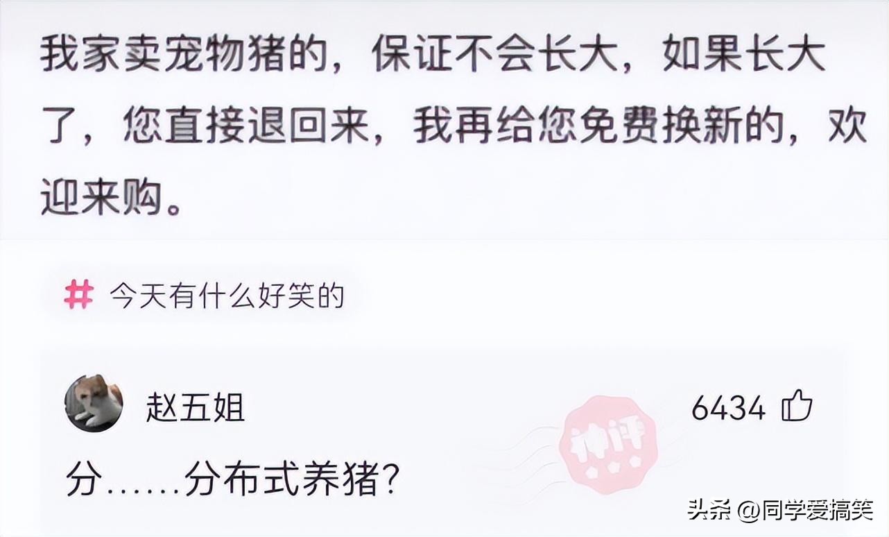 神回复：扔第一颗的时候，日本就是这么想的！神评把我笑死了