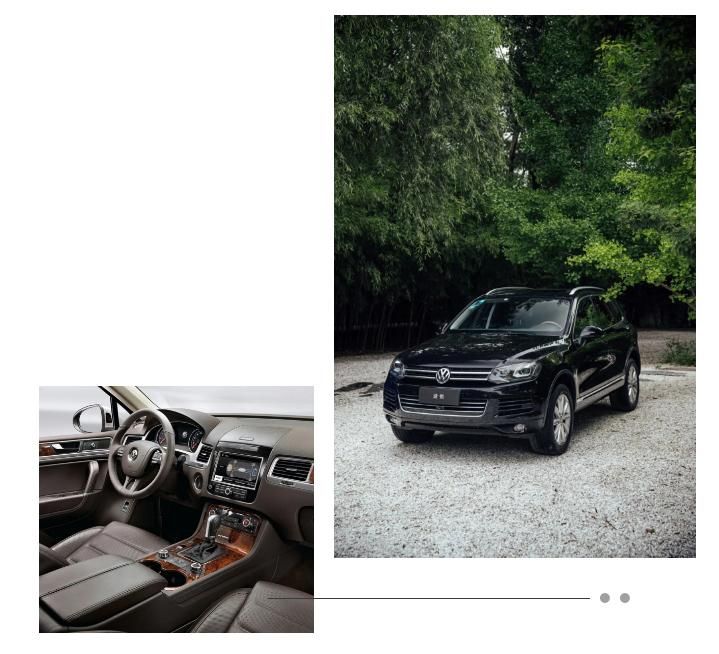 大众途锐20周年特别版高清素材,途锐二十周年版中网标