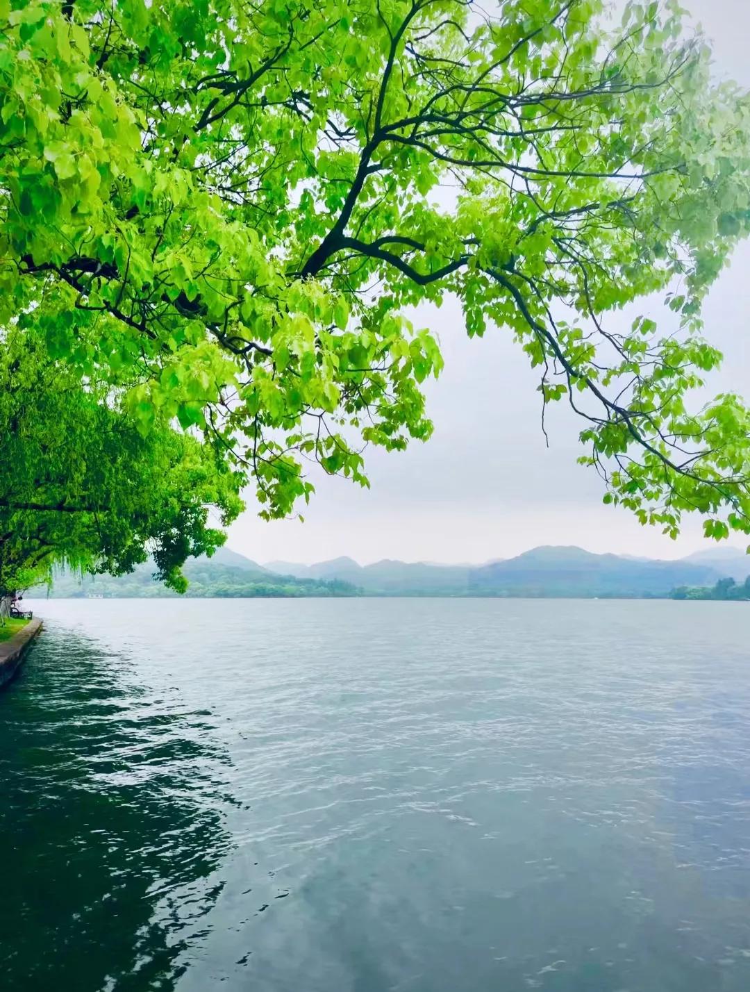 浙江最值得去的十大景区,浙江玉环十大景区排名