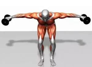 一周健身增肌训练计划,哑铃家庭一周训练计划