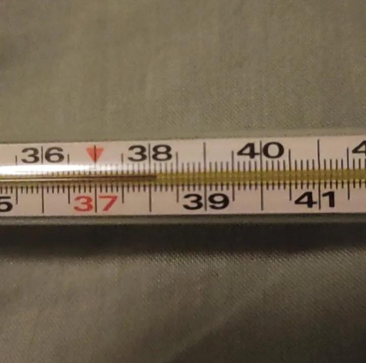 莫名其妙发烧十多天有规律,发烧正常吃药一到傍晚就发烧