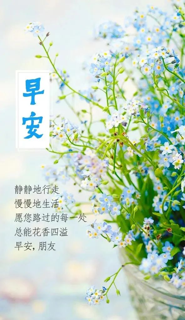 新的一周早安正能量句子图文,早安语录大全图文