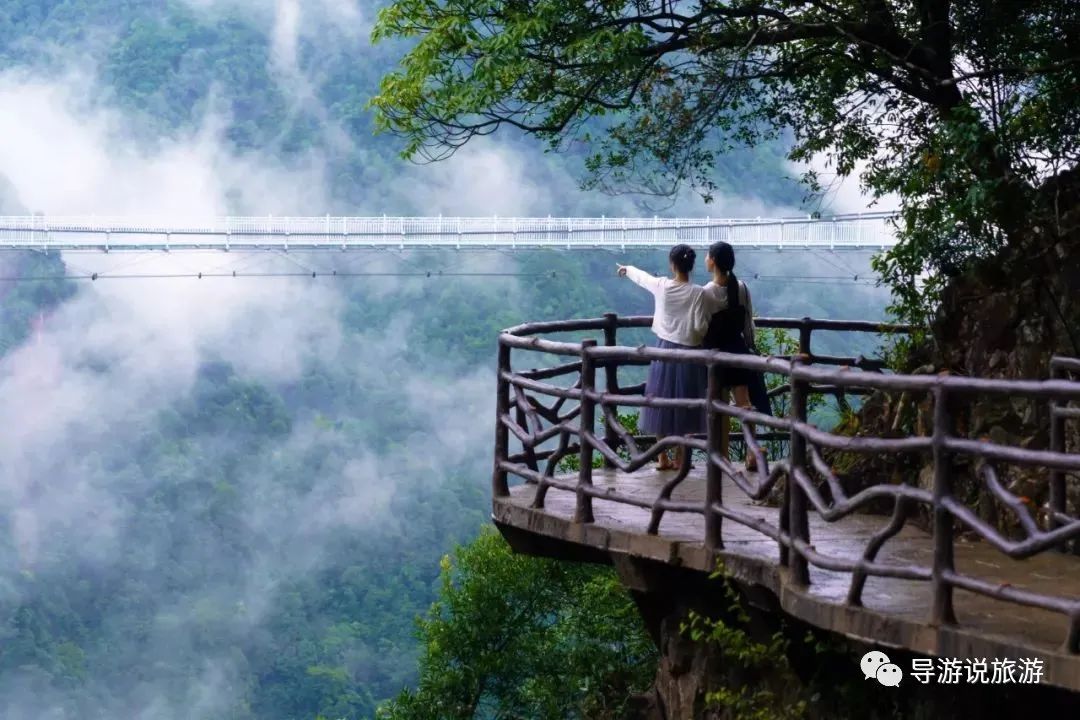 江西赣州三百山旅游景点排名,江西赣州安远三百山风景区