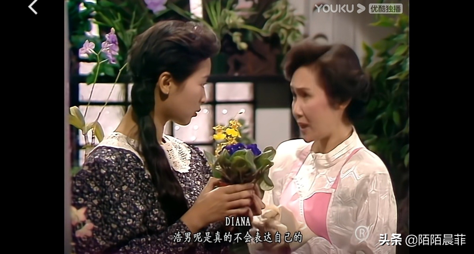 我本善良戴安娜写给齐浩男的信,我本善良齐浩男吻过戴安娜了吗