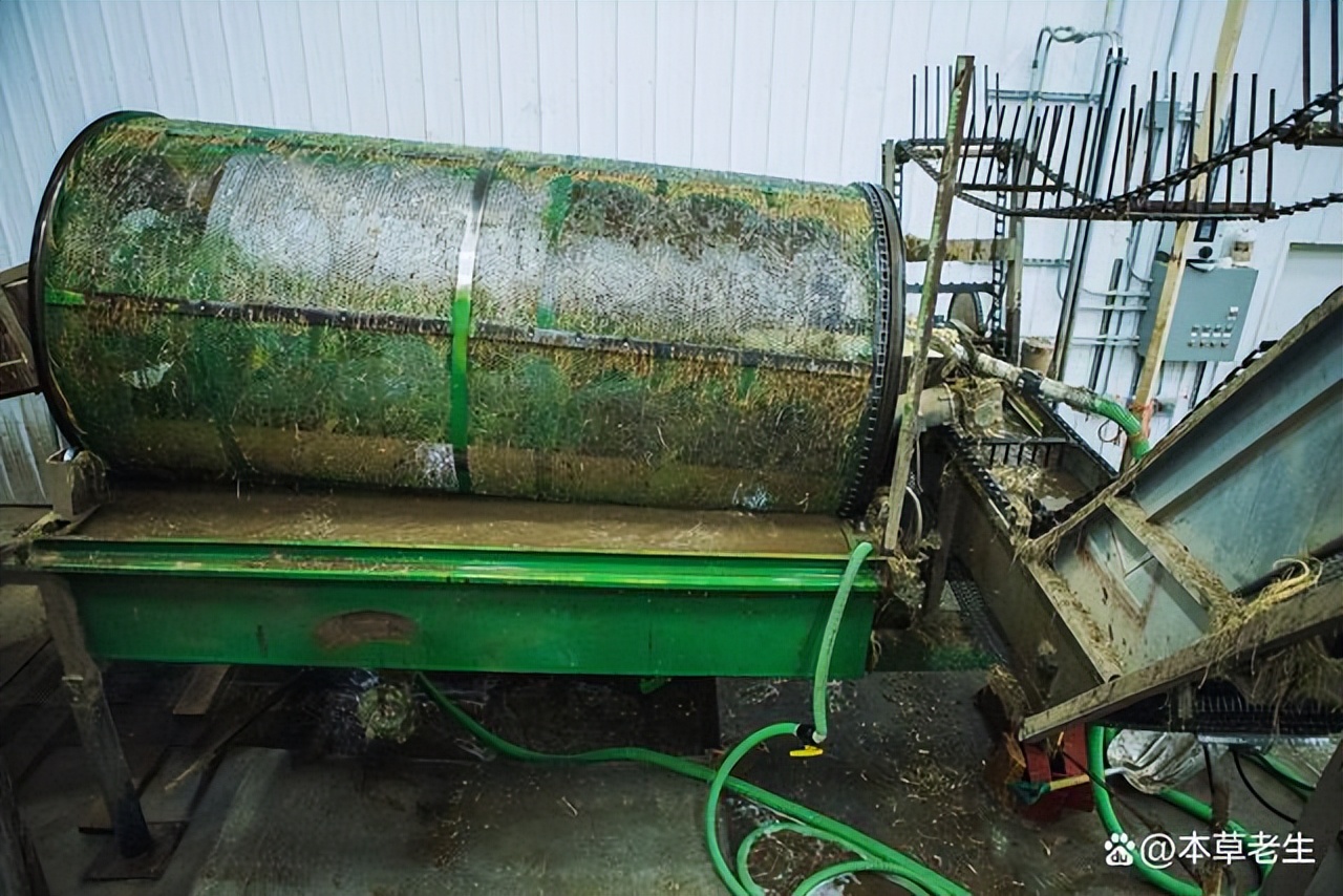 美国西洋参和中国西洋参有啥区别,美国产的西洋参好处是什么