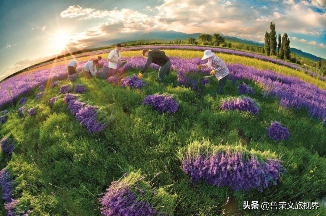 大美新疆的风景有哪些,大美新疆北疆美